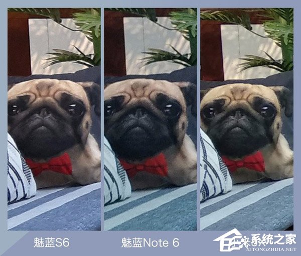 魅蓝S6拍照怎么样？魅蓝S6、魅蓝Note6和小米5X拍照样张对比