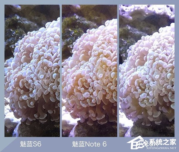 魅蓝S6拍照怎么样？魅蓝S6、魅蓝Note6和小米5X拍照样张对比