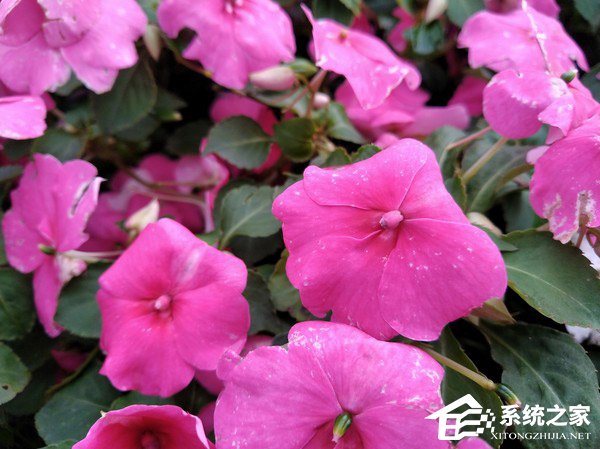 海信H11值得买吗？海信手机H11深度全面评测