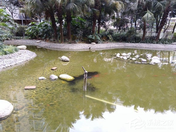 荣耀畅玩7C值得买吗？荣耀畅玩7C手机轻度评测