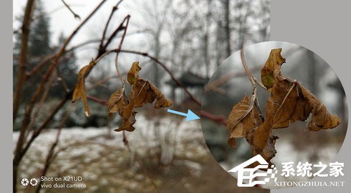 vivo X21怎么样？vivo X21手机体验评测