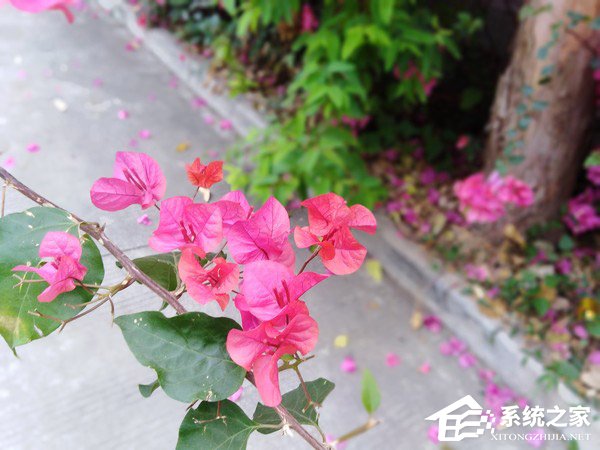 华为畅享8怎么样？华为畅享8手机体验评测
