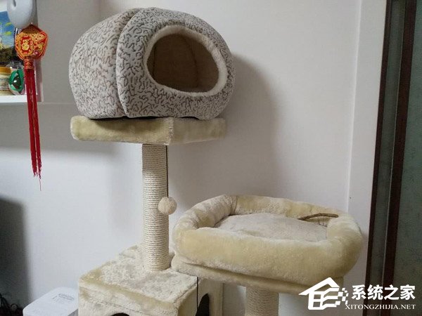 坚果3值得买吗？坚果3手机真机上手体验评测