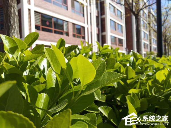 坚果3手机值得买吗？锤子坚果3手机全面评测