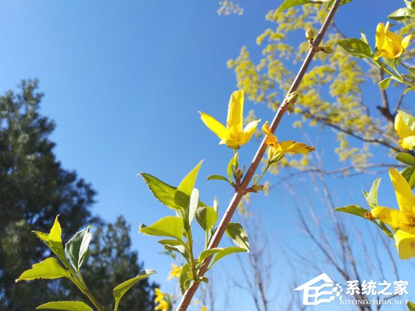 坚果3手机值得买吗？锤子坚果3手机全面评测