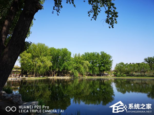 华为P20 Pro拍照怎么样?华为P20 Pro拍照实测