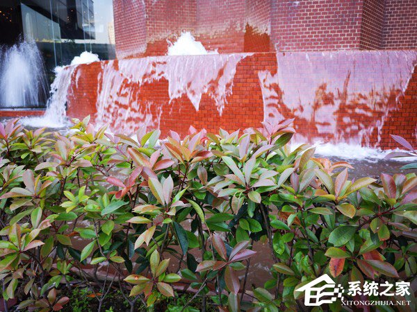 买华为P20 Pro还是iPhone X？iPhone X和华为P20 Pro拍照对比