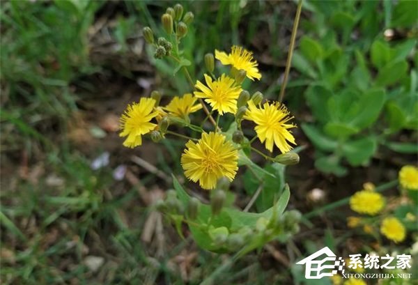 小米6X好不好？小米6X手机上手评测