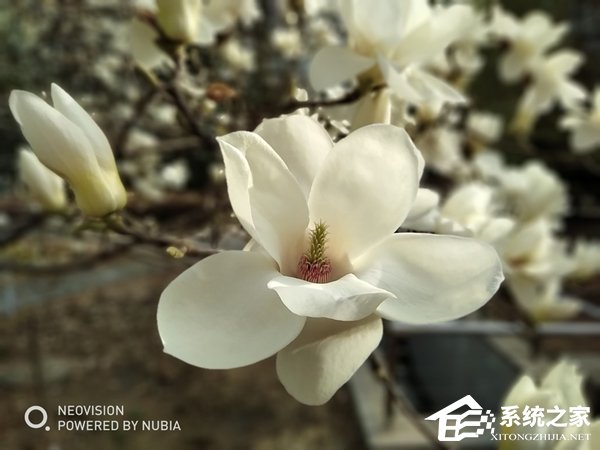 努比亚N3好不好？努比亚N3手机体验评测
