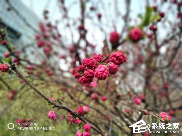 努比亚N3好不好？努比亚N3手机体验评测