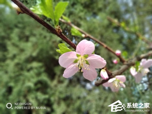 努比亚N3好不好？努比亚N3手机体验评测
