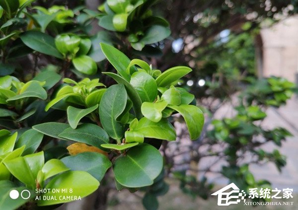 小米8怎么样好用吗？小米8手机全面评测