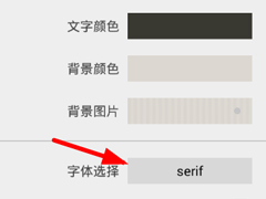 静读天下怎么设置字体 静读天下设置字体方法