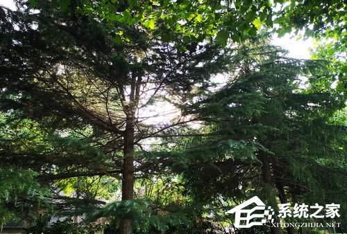 小米8和华为P20 Pro哪个好？华为P20 Pro和小米8拍照实测对比