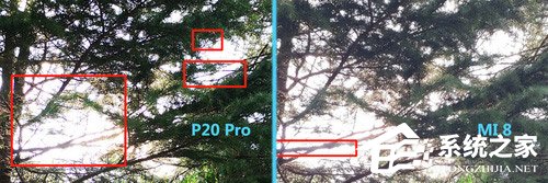 小米8和华为P20 Pro哪个好？华为P20 Pro和小米8拍照实测对比