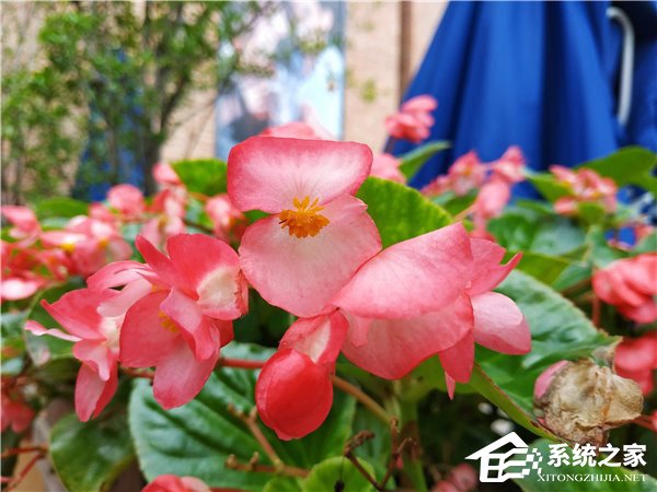 小米Max 3怎么样好用吗?小米Max 3上手体验评测