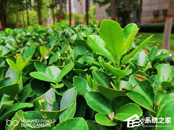 华为nova 3i好不好？华为nova 3i手机评测