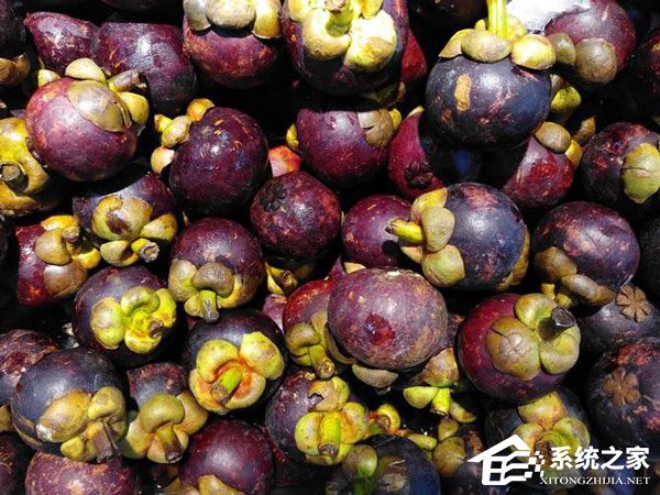 中兴Blade V9好不好?中兴Blade V9手机上手评测