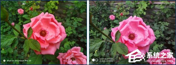 买小米8 SE还是坚果Pro 2S?坚果Pro 2S和小米8 SE区别对比