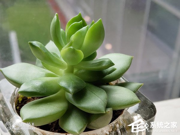 魅族16X怎么样？魅族16X手机评测