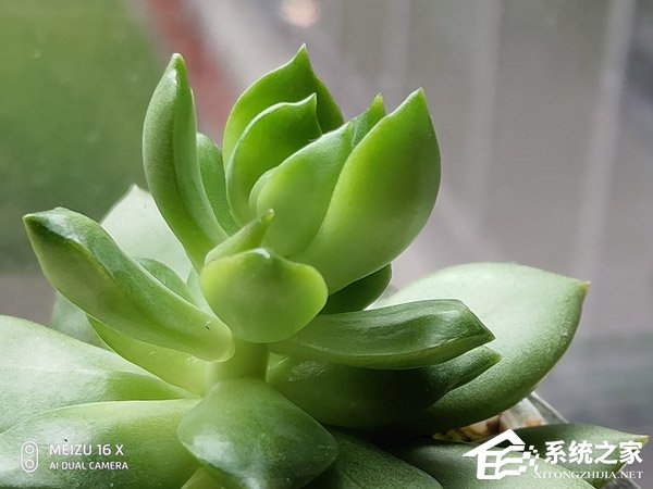 魅族16X怎么样？魅族16X手机评测