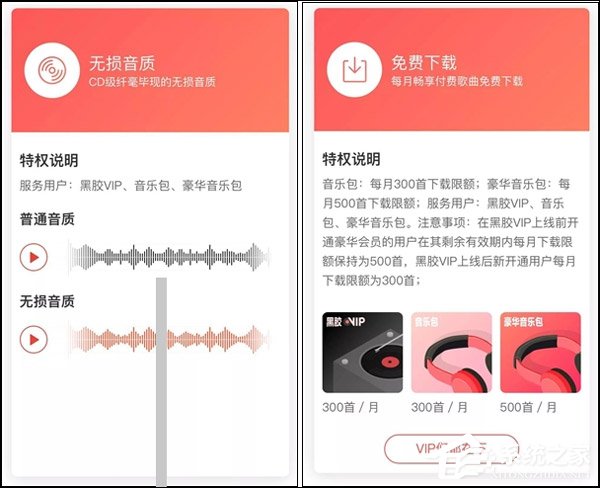为音乐爱好者而生！网易推出“白金卡潮玩版”