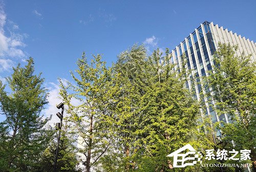 vivo LOGO PHONE怎么样？vivo LOGO PHONE体验评测