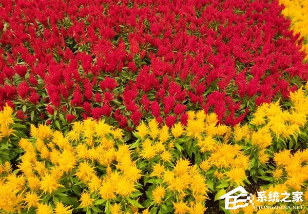 OPPO R17 Pro值买吗？OPPO R17 Pro手机评测