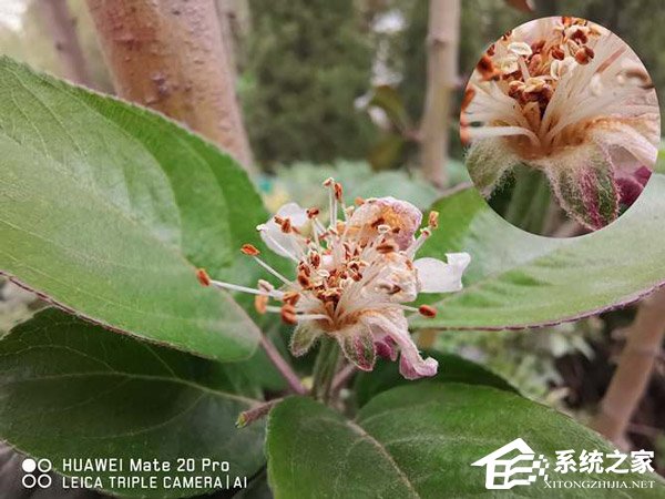 华为Mate 20 Pro怎么样？HUAWEI Mate 20 Pro体验评测