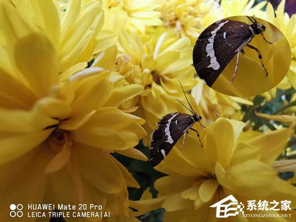 华为Mate 20 Pro怎么样？HUAWEI Mate 20 Pro体验评测