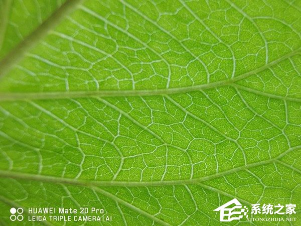 华为Mate 20 Pro好不好？华为Mate 20 Pro手机评测