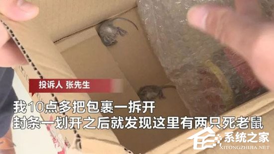出库时没问题！京东回应双十一包裹里拆出死老鼠