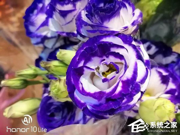 荣耀10青春版好不好？荣耀10青春版体验评测