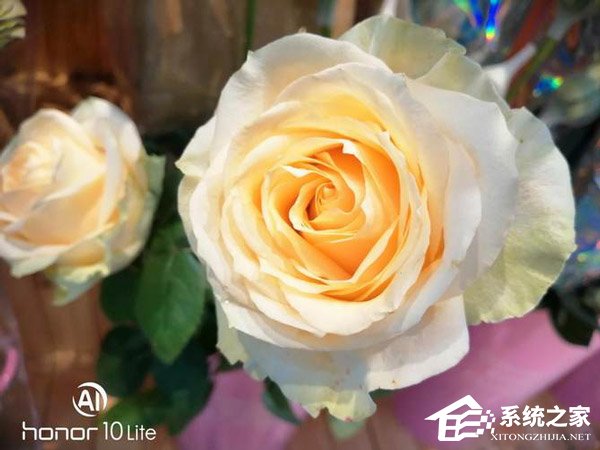 荣耀10青春版好不好？荣耀10青春版体验评测