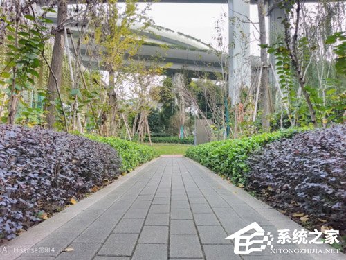 海信金刚4好用吗？海信金刚4手机上手评测