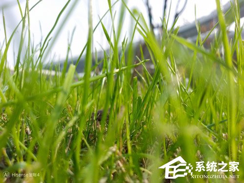 海信金刚4好用吗？海信金刚4手机上手评测