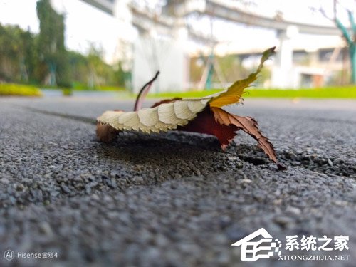 海信金刚4好用吗？海信金刚4手机上手评测