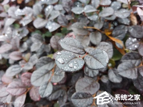 海信金刚4好用吗？海信金刚4手机上手评测
