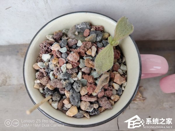 联想Z5 Pro值得买吗?联想Z5 Pro手机全面评测