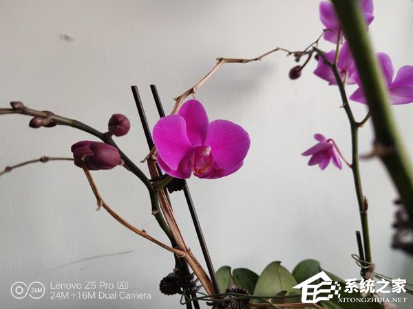 联想Z5 Pro值得买吗?联想Z5 Pro手机全面评测