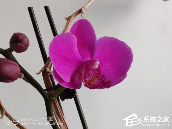 联想Z5 Pro值得买吗?联想Z5 Pro手机全面评测