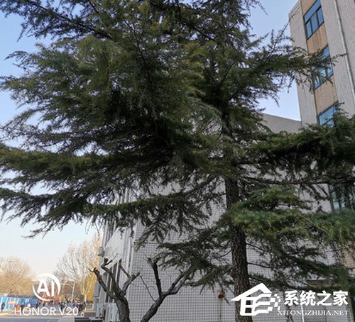 荣耀V20怎么样？荣耀V20手机上手评测