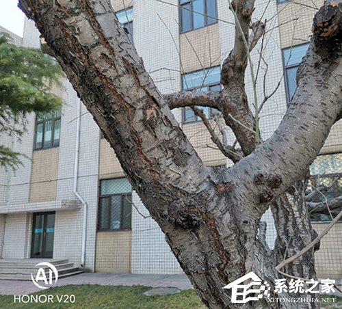荣耀V20怎么样？荣耀V20手机上手评测