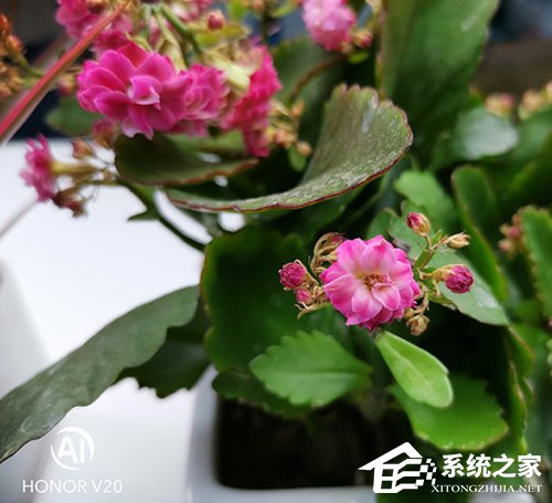 荣耀V20怎么样？荣耀V20手机上手评测