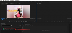 Premiere效果怎么保存为预设 Premiere将添加效果保存为预设的教程