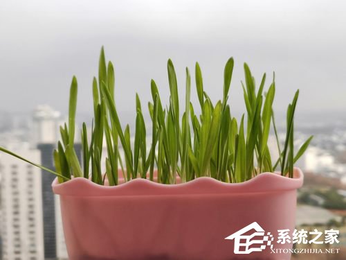 OPPO R17 Pro手机好用吗？OPPO R17 Pro手机深度测评