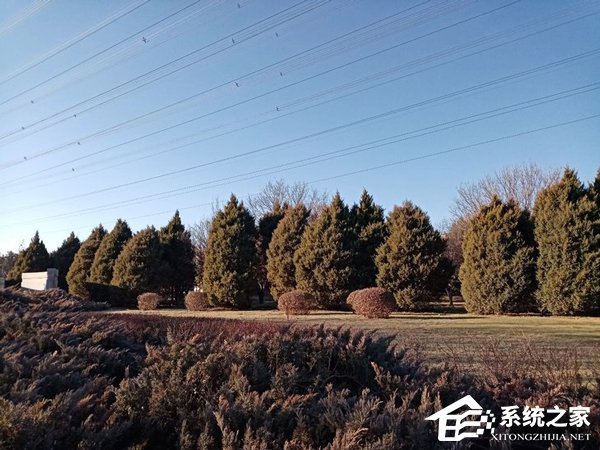 荣耀畅玩8A好不好?荣耀畅玩8A上手评测