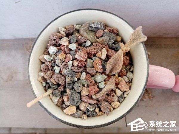 荣耀畅玩8A好不好?荣耀畅玩8A上手评测