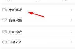 怎么在熊猫动态壁纸中上传视频 在熊猫动态壁纸中上传视频的方法