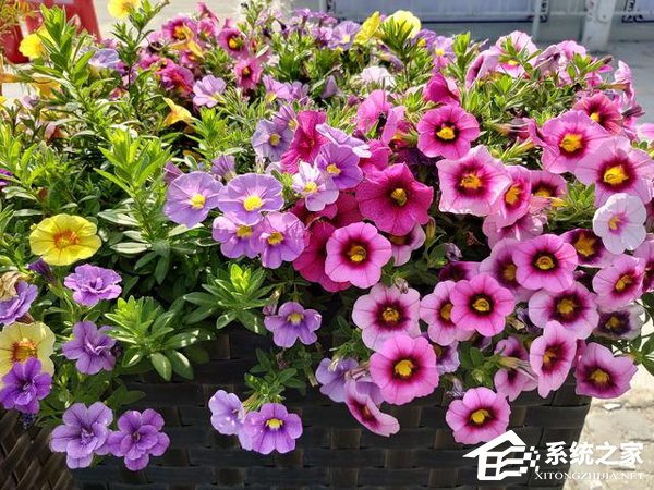 三星A8s手机值得买吗？Galaxy A8s综合评测